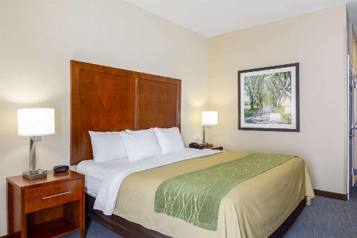 Comfort Inn Woodstock image 22